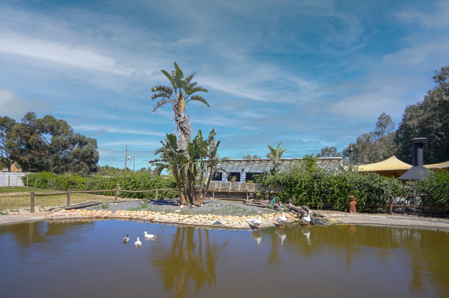 Commercial Property for Sale in Cape Farms Western Cape